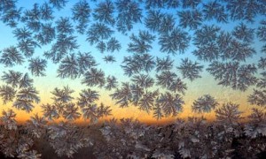 Frost-on-window-007