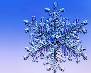 ws_Winter_Flake_1280x1024