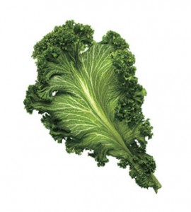 ttar_mustard_greens_v